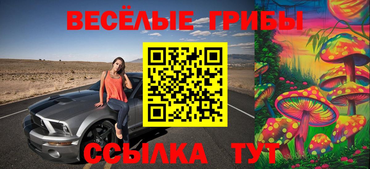 Галлюциногенные грибы Psilocybine cubensis Людиново
